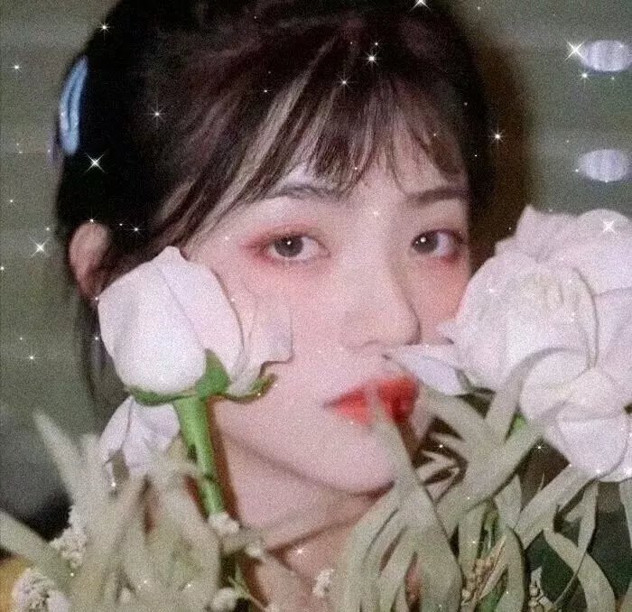 女士的品格